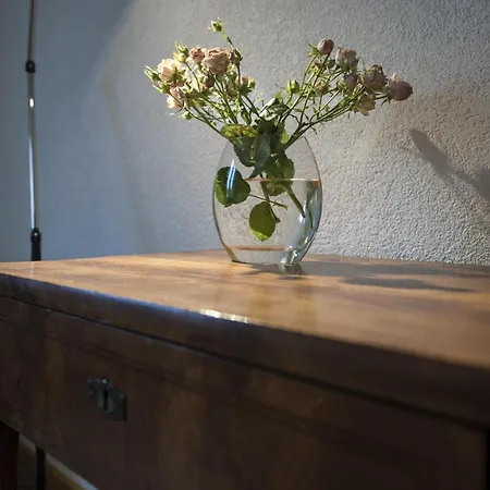Apartment Wohlfuehloase Fuer Und Gartenliebhaber *