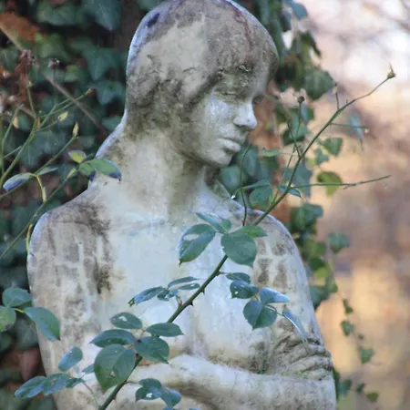 Wohlfuehloase Fuer Und Gartenliebhaber *