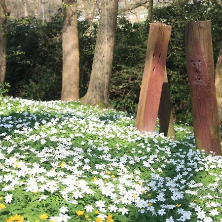 Wohlfuehloase Fuer Und Gartenliebhaber